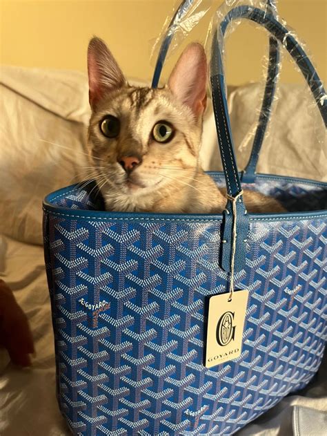 goyard cat 420|More.